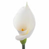 White Calla Lily Long Stemmed 30 stems