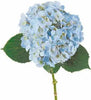 Blue Hydrangea Flower 30 or 60 Stems